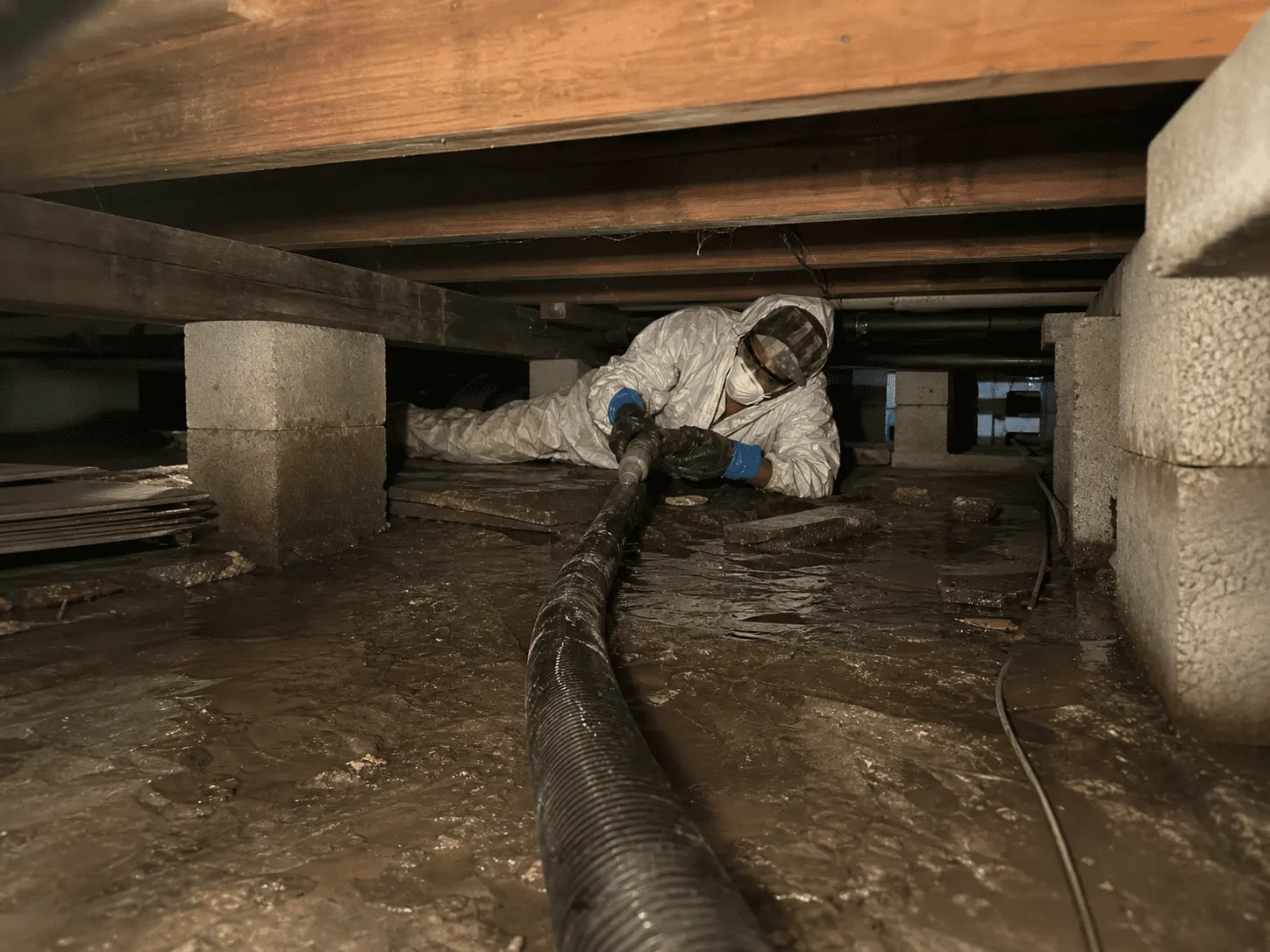 Gallery - Crawl Space water damage