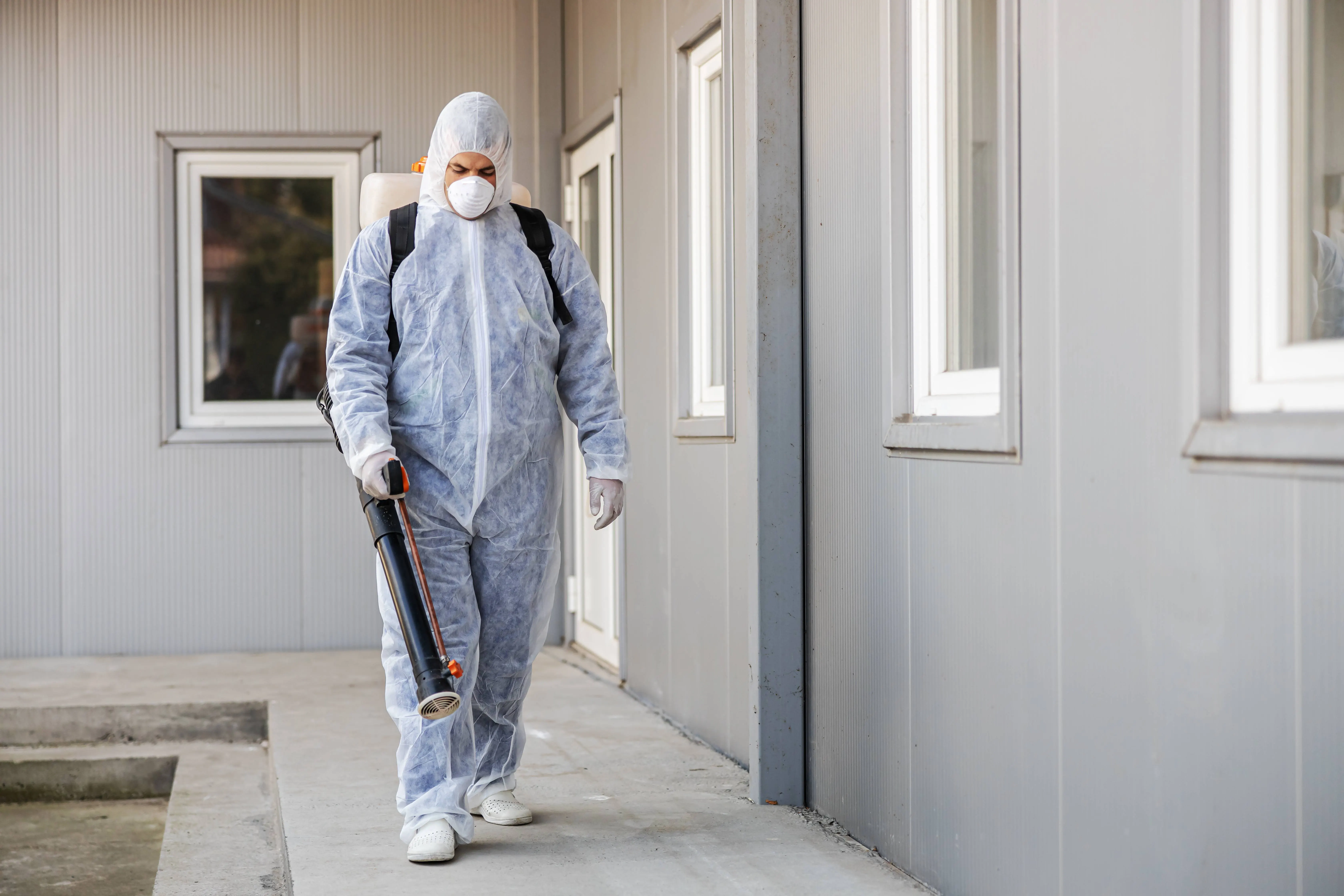 Expert Rodent Exterminator — Attic Star Bay Area