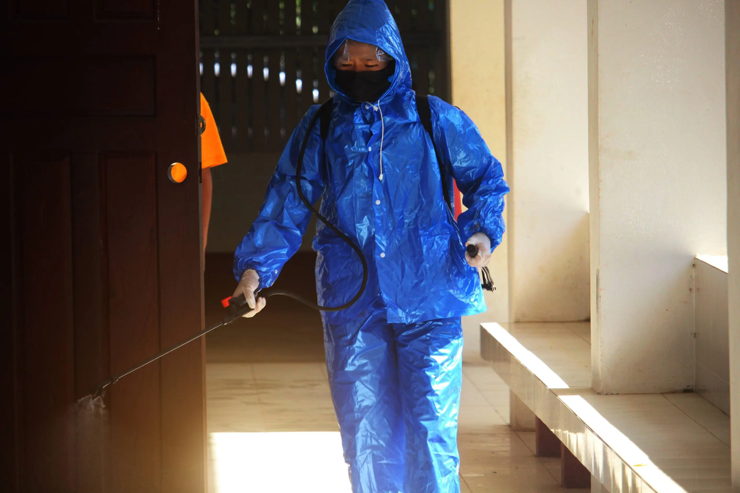 Gallery - Rodent Exterminator