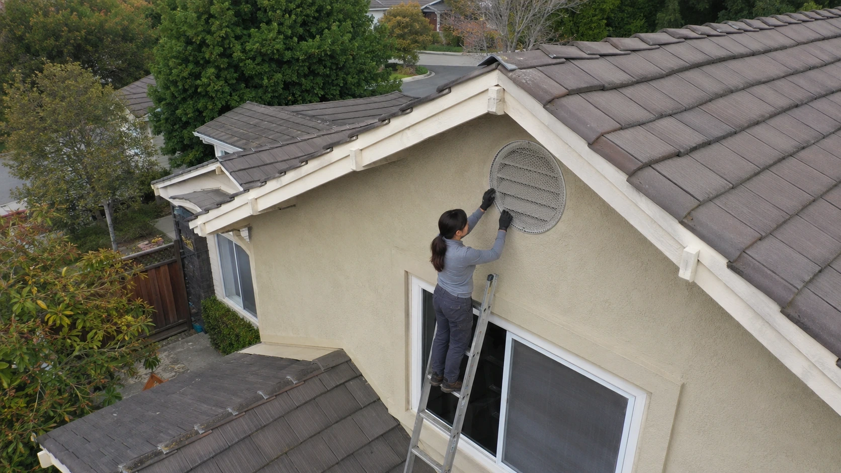 Inspect Roofline Opening During Rodent Control Visit